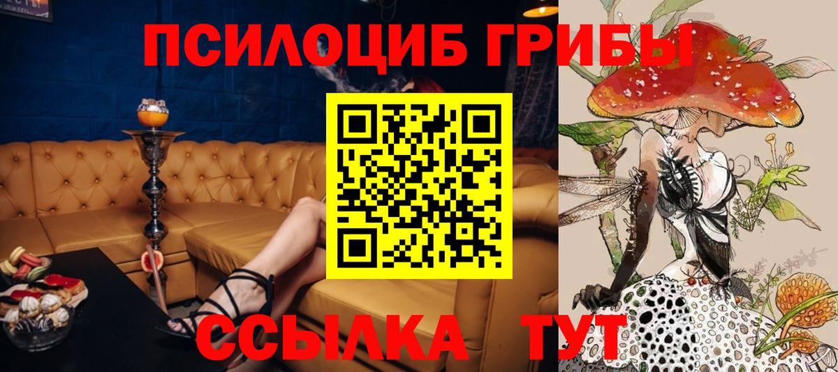 Галлюциногенные грибы Psilocybine cubensis  Вход с VPN  Октябрьский 
