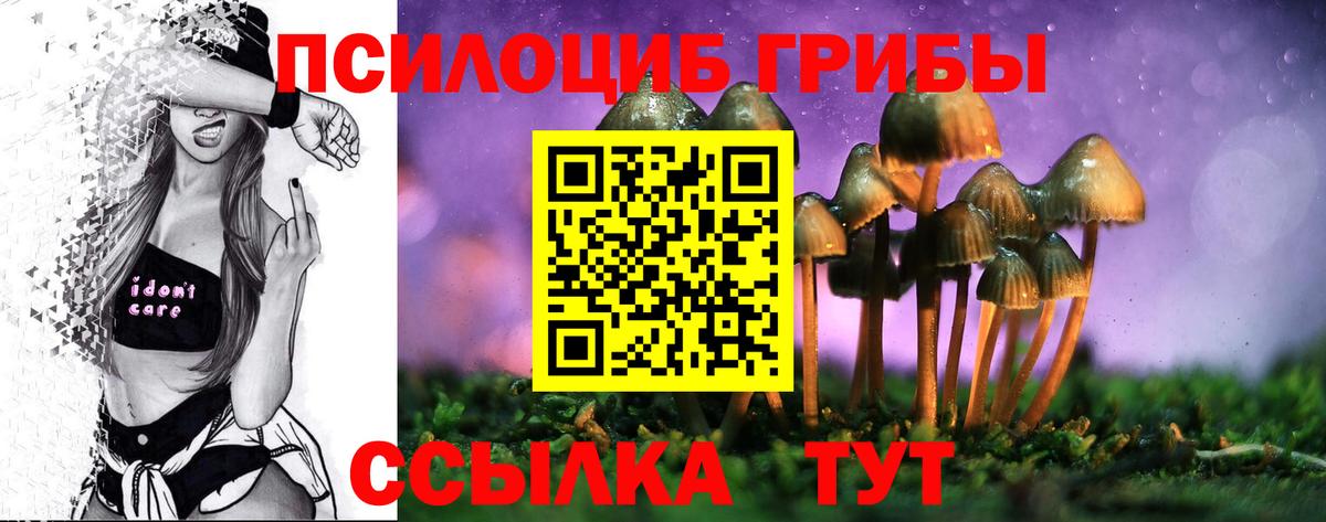 Псилоцибиновые грибы мухоморы Октябрьский